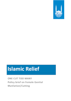 One Cut Too Many: Policy Brief on Female Genital Mutilation/Cutting (Islamic Relief, 2016)